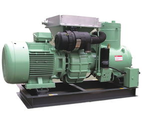 志高空气压缩机 型号齐全，满足多样化气体压缩需求